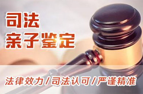 大同司法DNA鉴定流程是怎样的,大同司法亲子鉴定费用大概多少钱