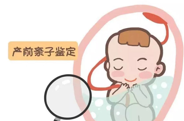 刚怀孕大同怎么做孕期亲子鉴定,在大同怀孕期间办理亲子鉴定结果准确吗